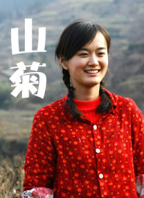 一区二区不卡